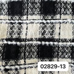 02829黑白