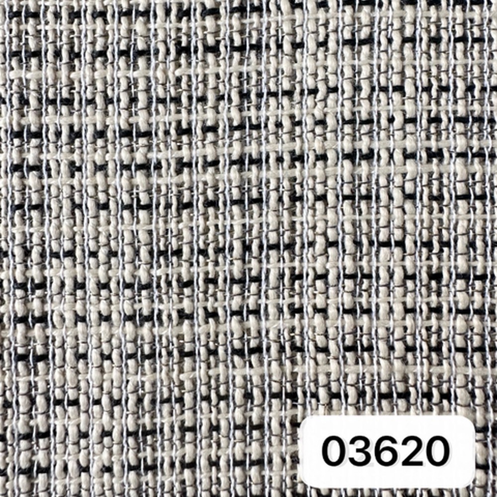 03620
