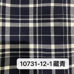 10731-12-1