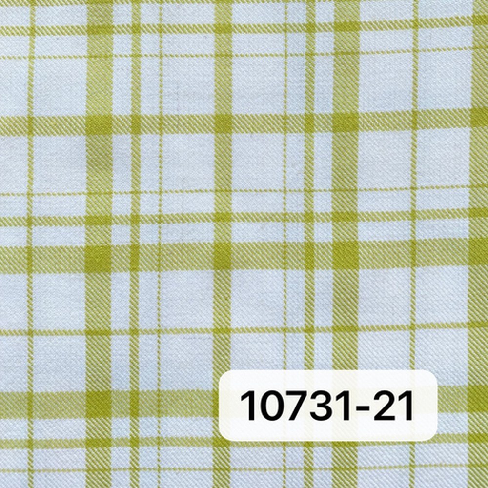 10731黄色
