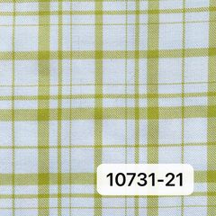 10731黄色