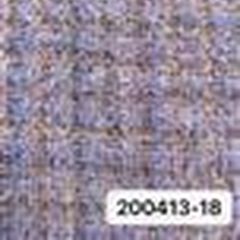 200413彩色