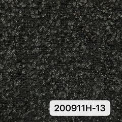 200911H-13