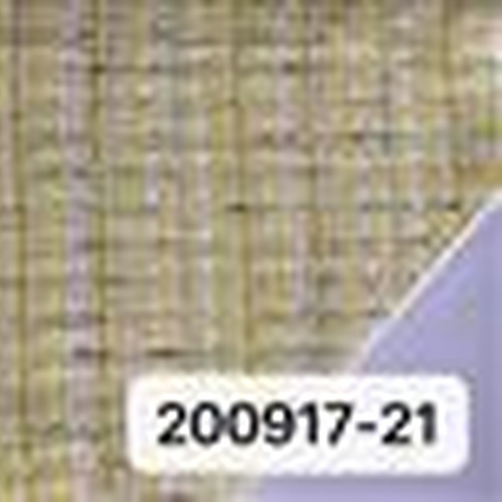 200917黄色