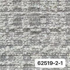62519-2-1