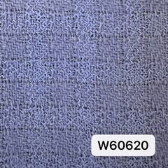 W60620